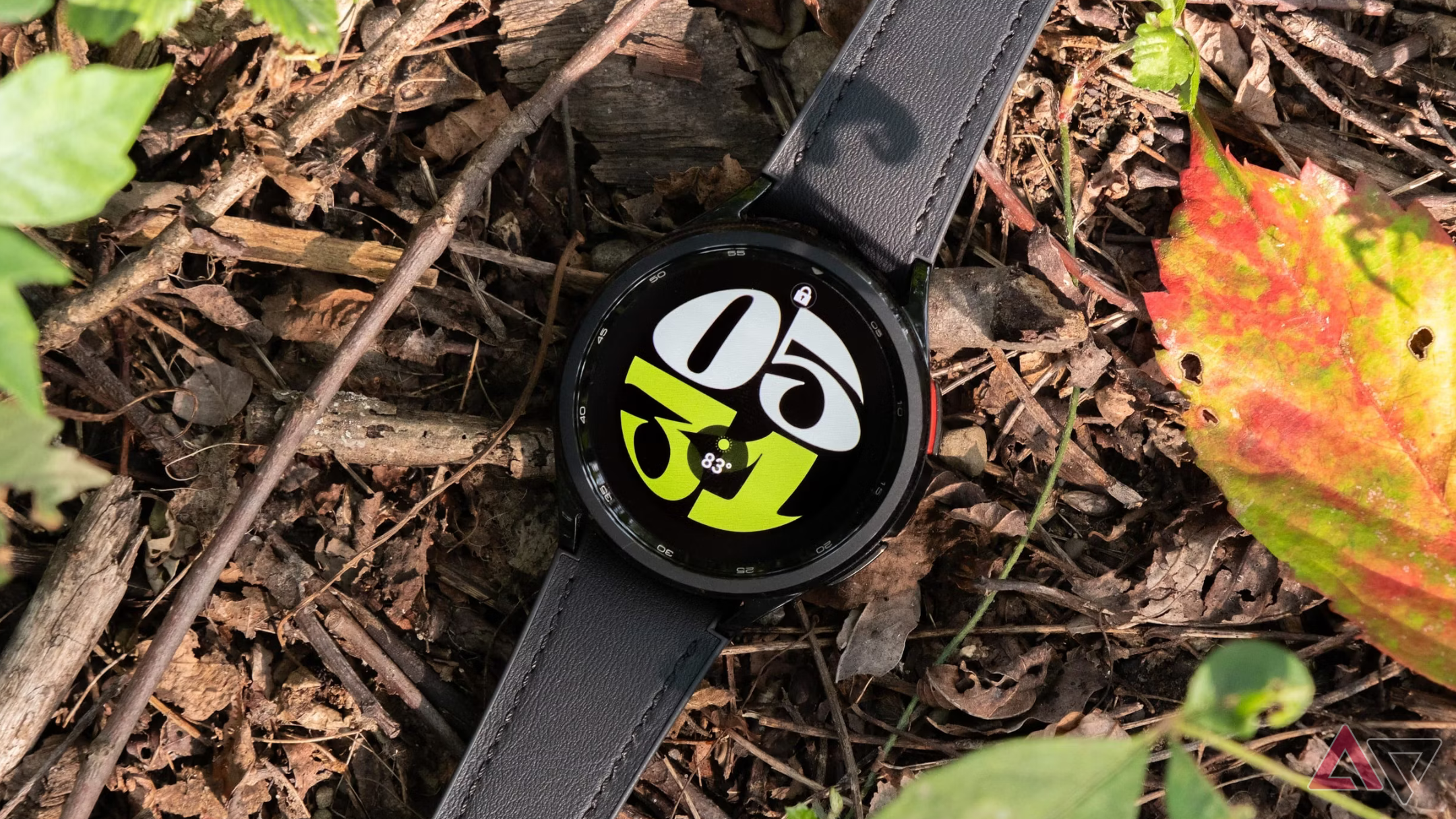 Galaxy Watch 6 Classic in the forest